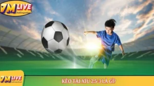 Kèo Tài Xỉu 2.5-3 là gì? Những thông tin cơ bản nhất về kèo 8 kèo tài xỉu 2.5-3 là gì