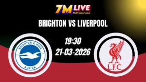 Nhận định Brighton vs Liverpool 19h30 Ngày 21/03/2026 9 Nhận định Brighton vs Liverpool 19h30 Ngày 21/03/2026
